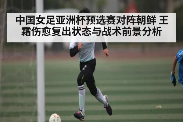 中国女足亚洲杯预选赛对阵朝鲜 王霜伤愈复出状态与战术前景分析